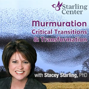 Murmuration: Critical Transitions and Transformation
